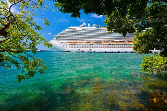 Cruise