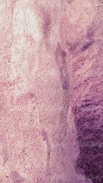 Free texture