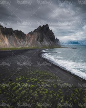ساحل دریا
