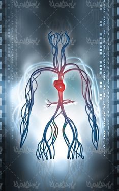 اماء و احشاء بدن