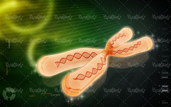 DNA