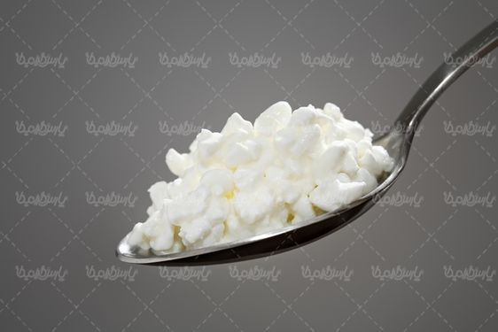 لبنیات