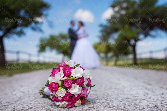 عروس و داماد