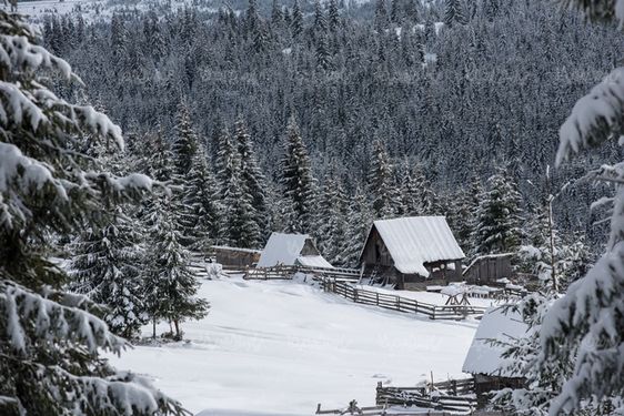 Winter landscape
