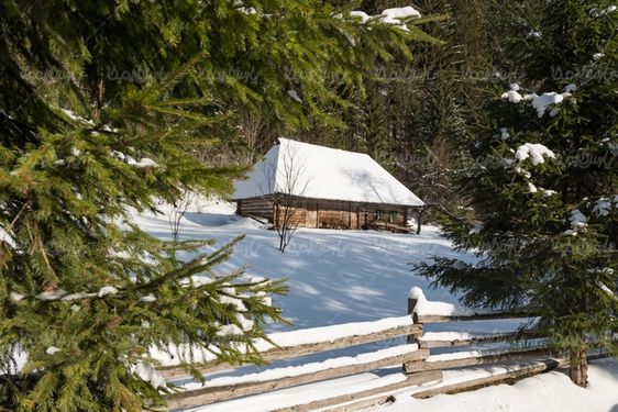 Winter landscape