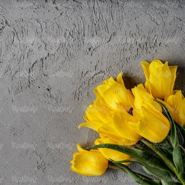 yellow flower