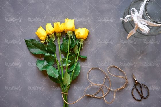 yellow flower