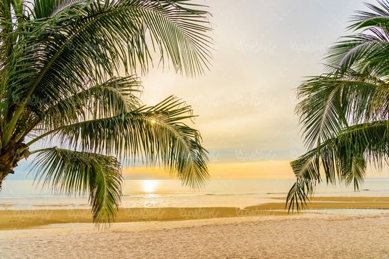 دانلود عکس با کیفیت ساحل زیبا