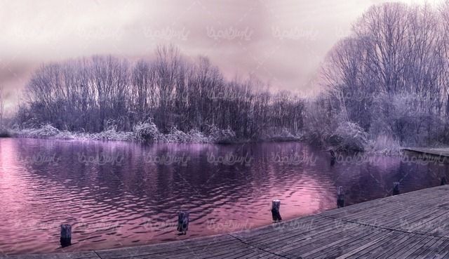 winter