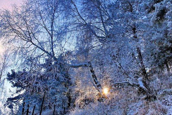 winter