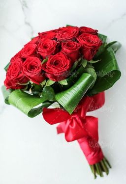 دانلود تصویر ولنتاین