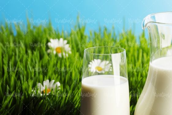 فرآورده های لبنی