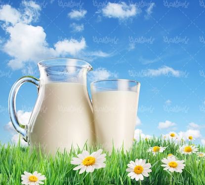 فرآورده های لبنی