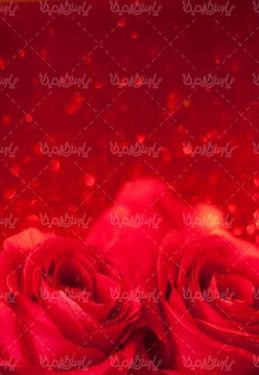 هدیه ولنتاین