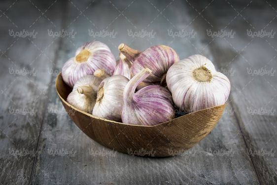 سیر