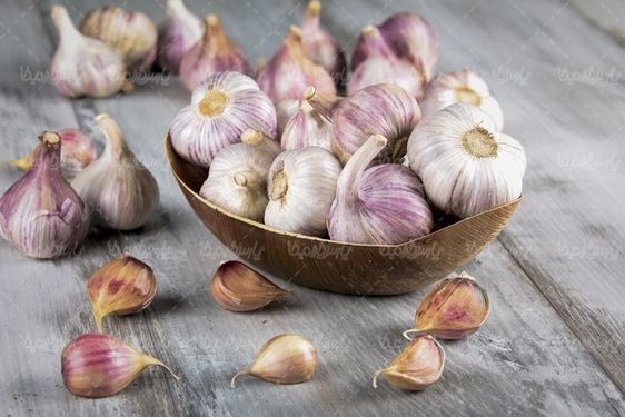 Garlic