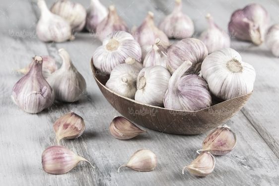 Garlic