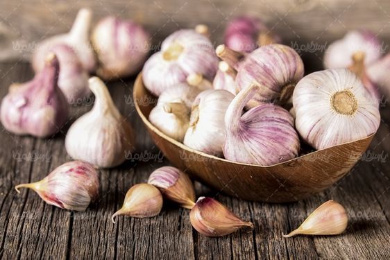 Garlic