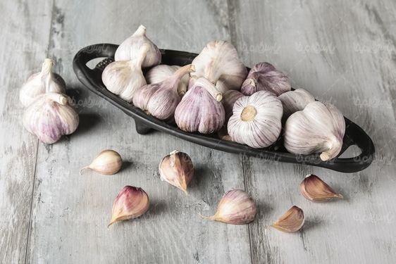 Garlic