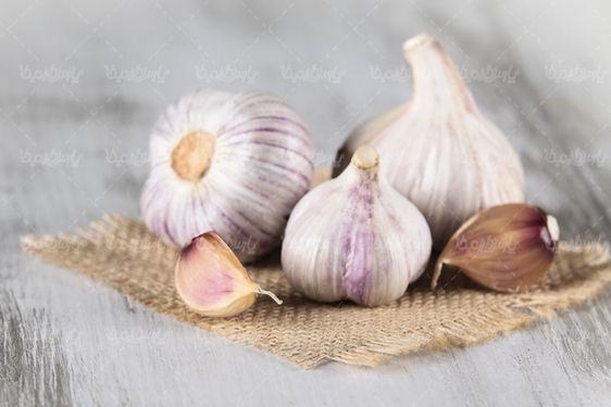 عکس سیر