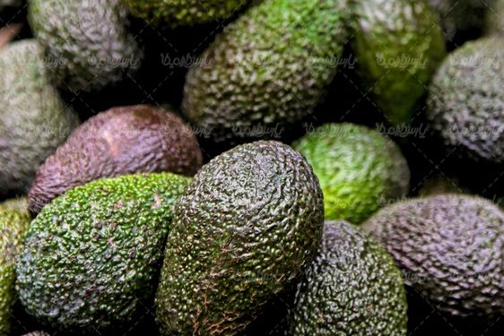 Avocado