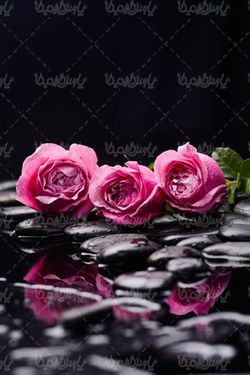 سالن ماساژ