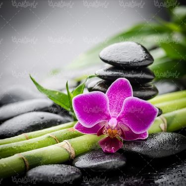 Massage salon