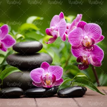 Massage salon