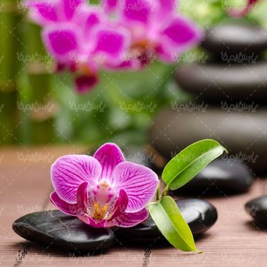 Massage salon