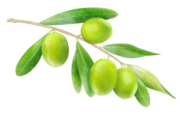 Olive