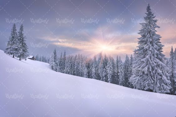 winter