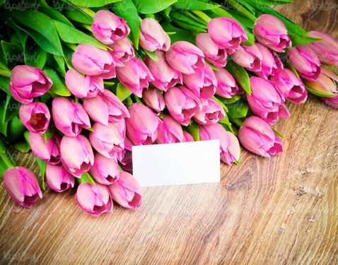 natural flower
