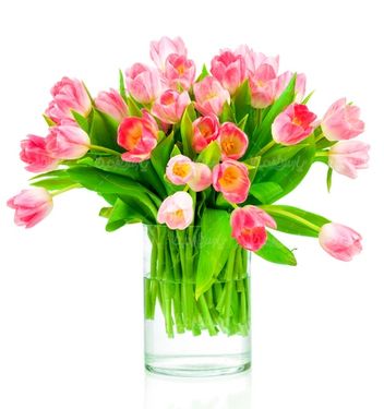 beautiful flower