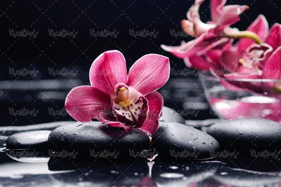 Massage salon