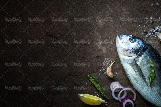 fish meat