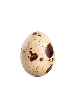 تخم بلدرچین