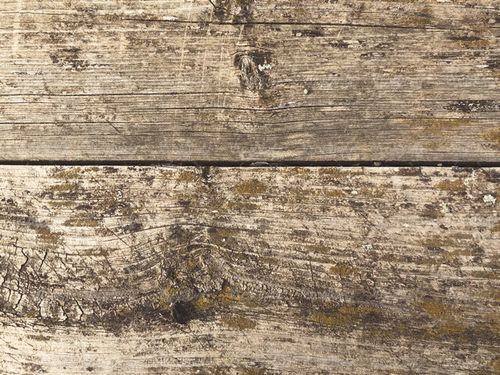 Wooden background