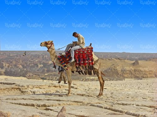 شتر