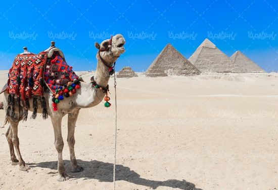 جاذبه های گردشگری