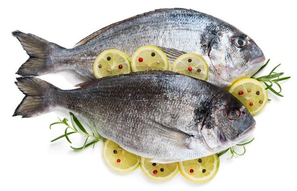 fish meat