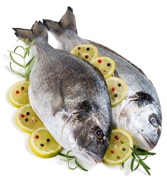 fish meat