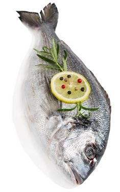 fish meat