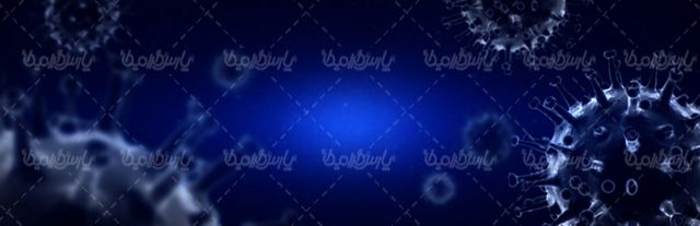 ویروس کرونا