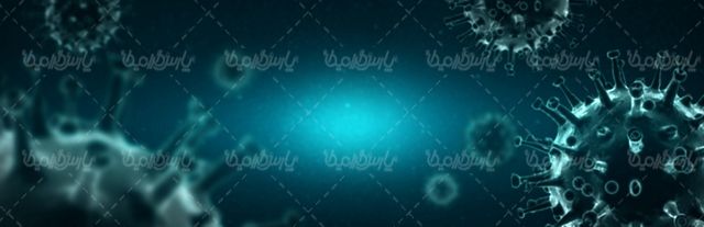 Corona virus