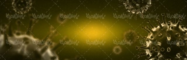 Corona virus