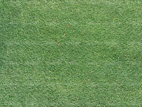 Grass texture