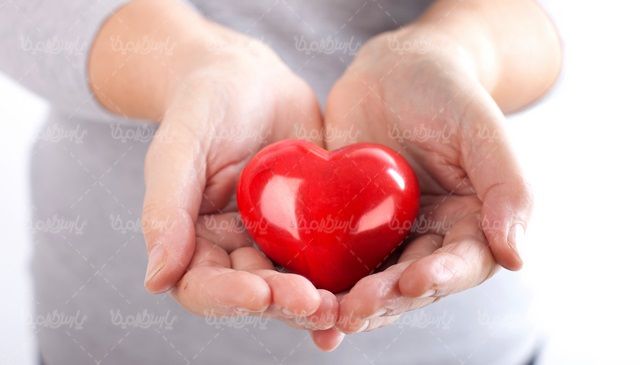 Heart