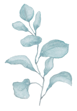 گل و بوته