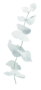 گل و بوته