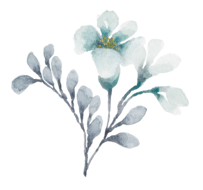 گل و بوته
